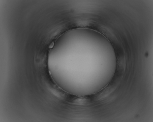 X0000093510364200710191316