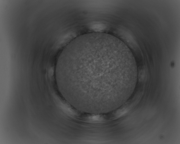 X0000093510365200710191316