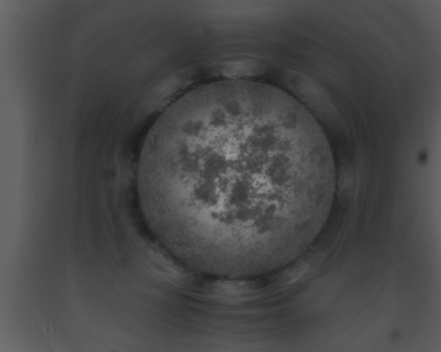 X0000093510367200710191316