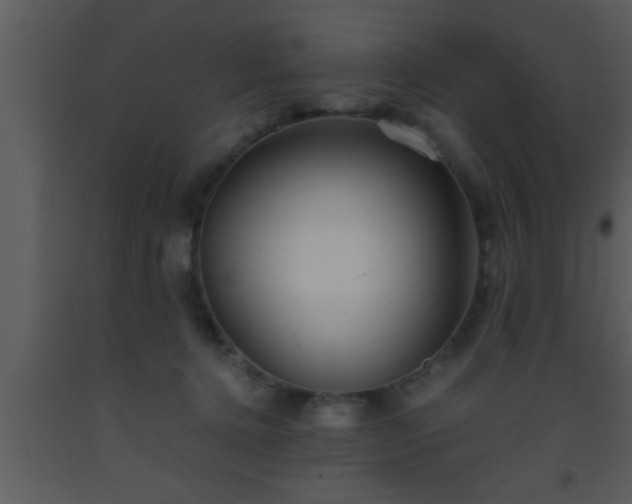 X0000093510368200710191316