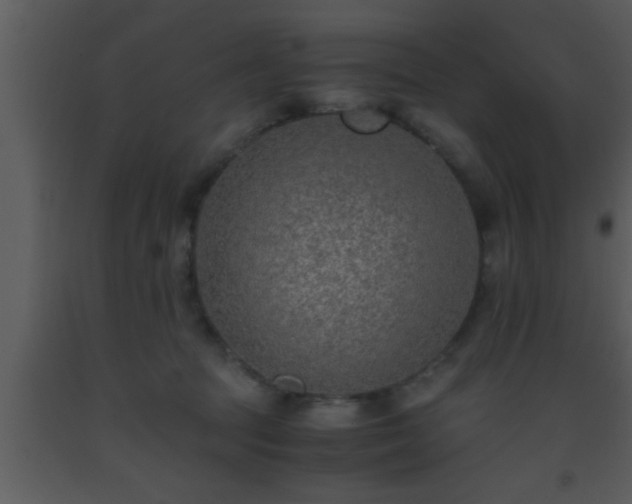 X0000093510369200710191316