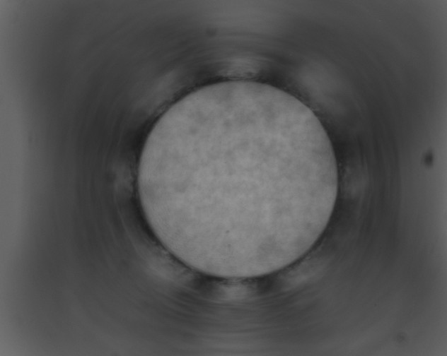 X0000093510370200710191316