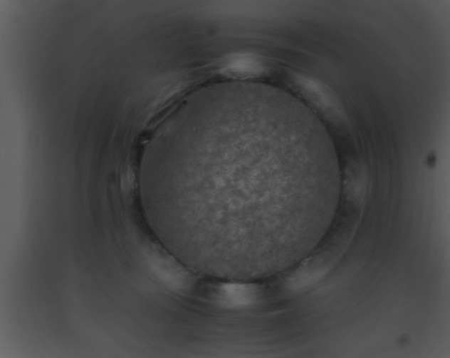 X0000093510371200710191316