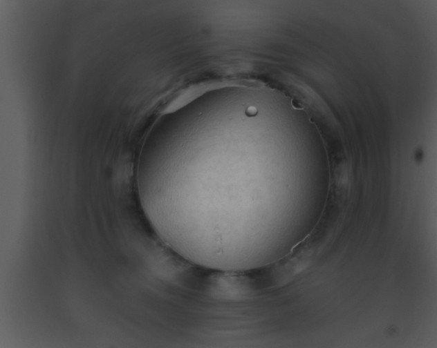 X0000093510372200710191316