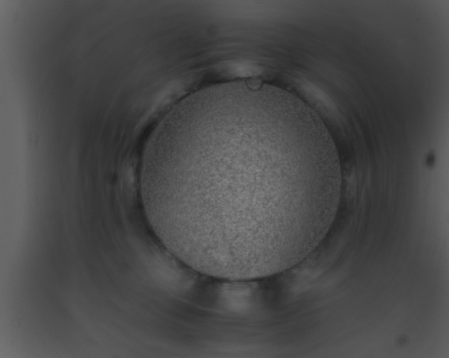 X0000093510373200710191316