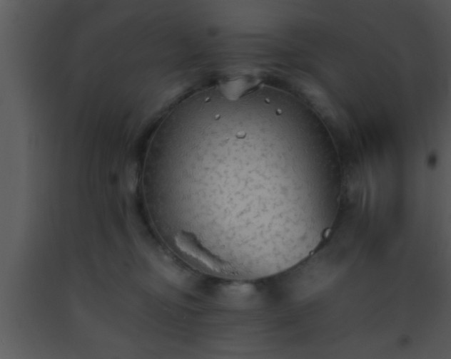X0000093510374200710191316