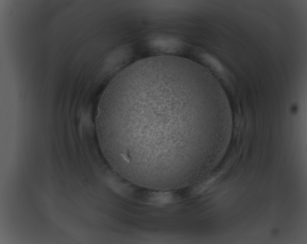 X0000093510377200710191316