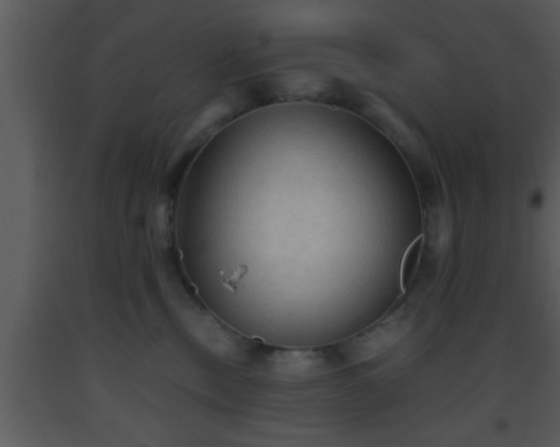 X0000093510378200710191316