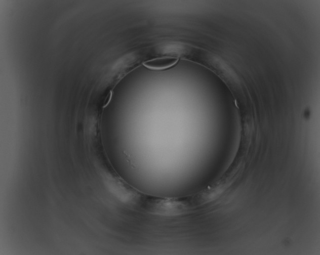 X0000093510379200710191316