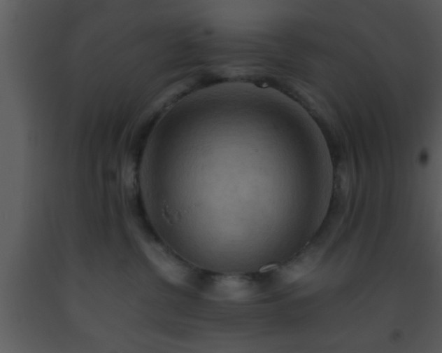 X0000093510380200710191316