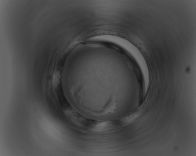 X0000093510382200710191316