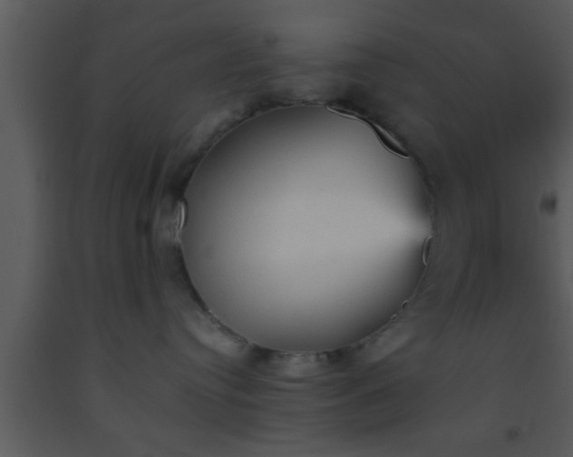 X0000093510384200710191316