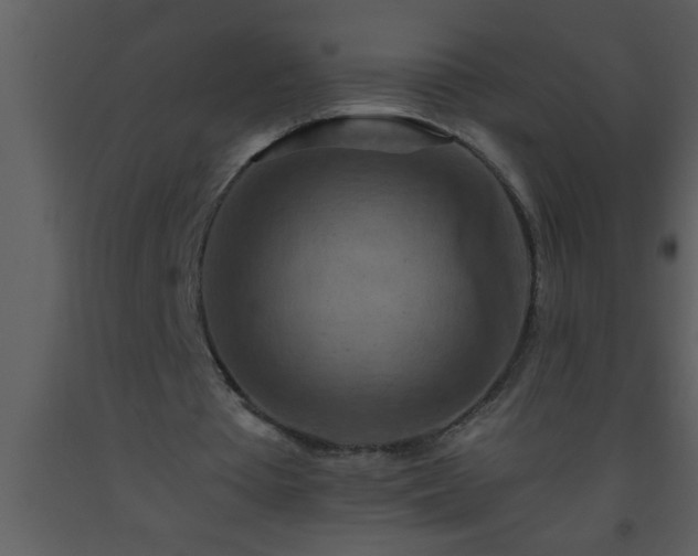 X0000093510385200710191315
