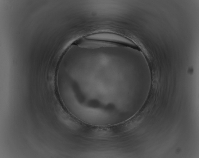X0000093510386200710191315
