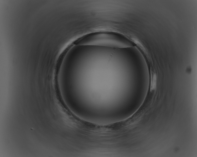 X0000093510387200710191315