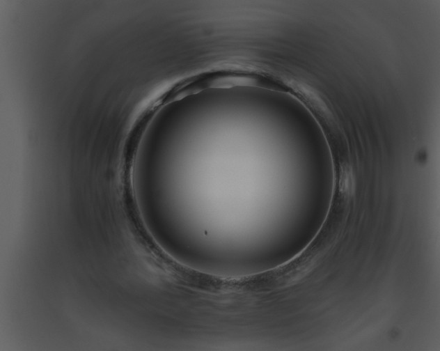 X0000093510388200710191315