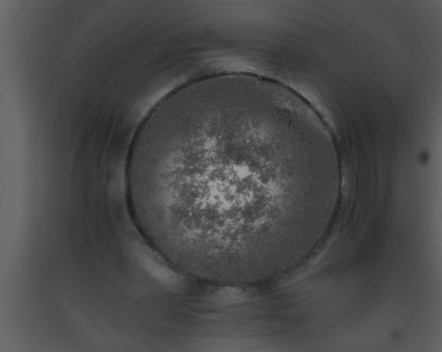 X0000093510390200710191315