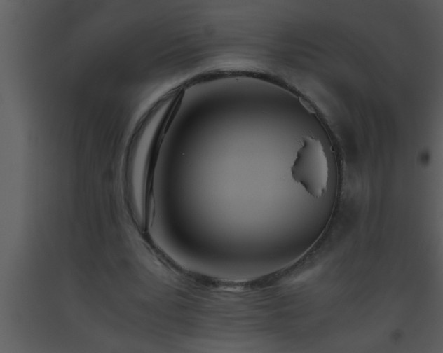 X0000093510391200710191315