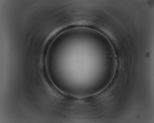 X0000093510392200710191315
