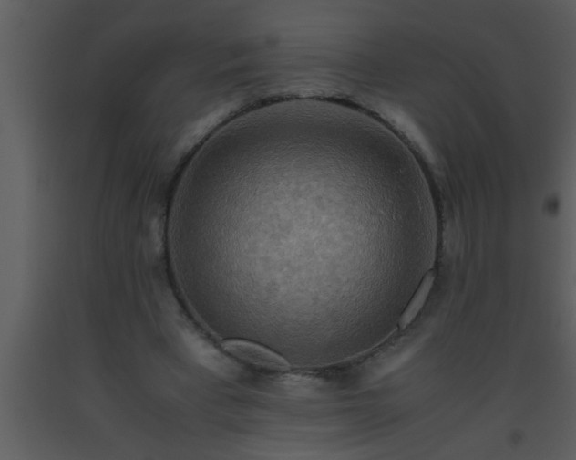 X0000093510393200710191315