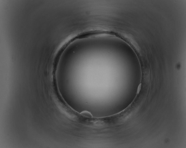 X0000093510395200710191315