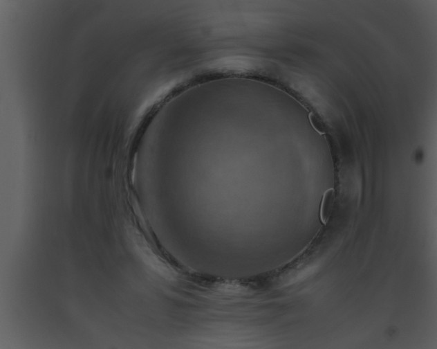 X0000093510399200710191315