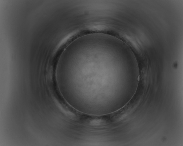 X0000093510400200710191315