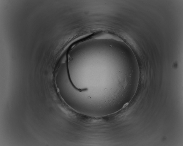 X0000093510401200710191315