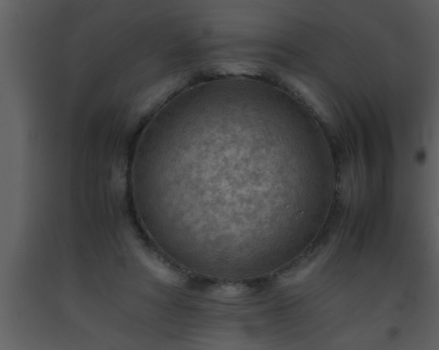 X0000093510402200710191315