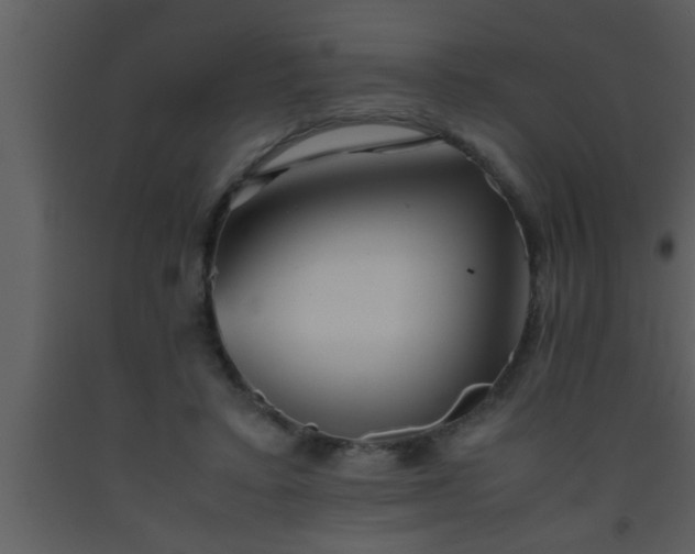 X0000093510403200710191315