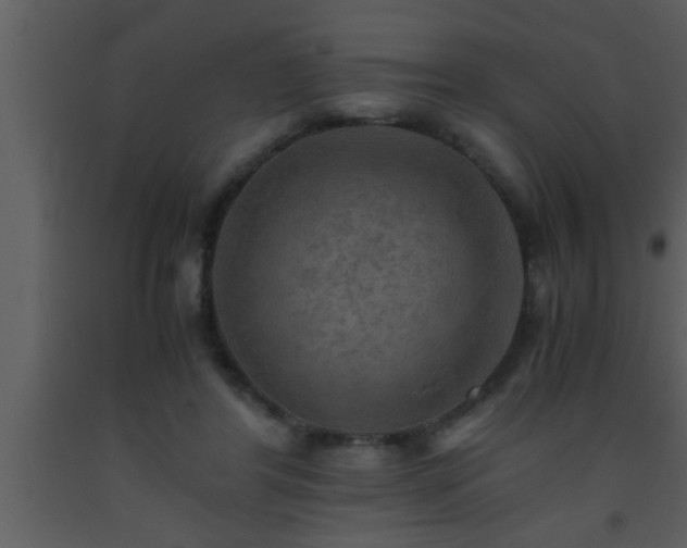 X0000093510404200710191315