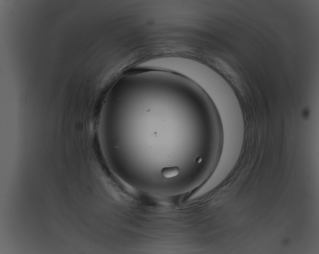 X0000093510405200710191315