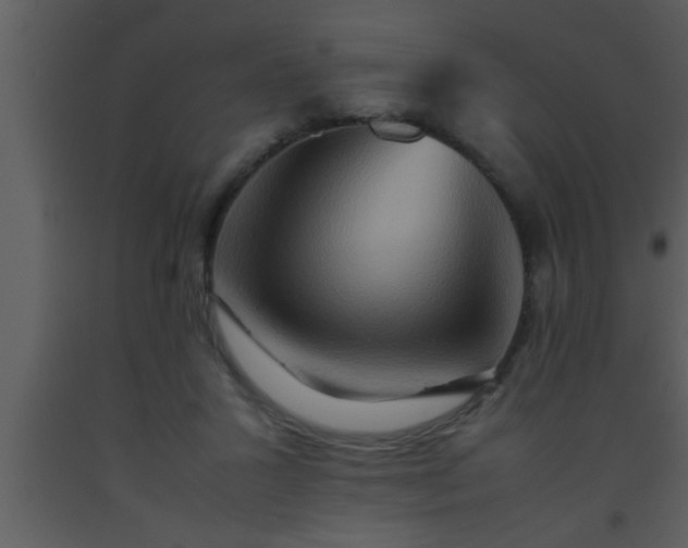 X0000093510407200710191315