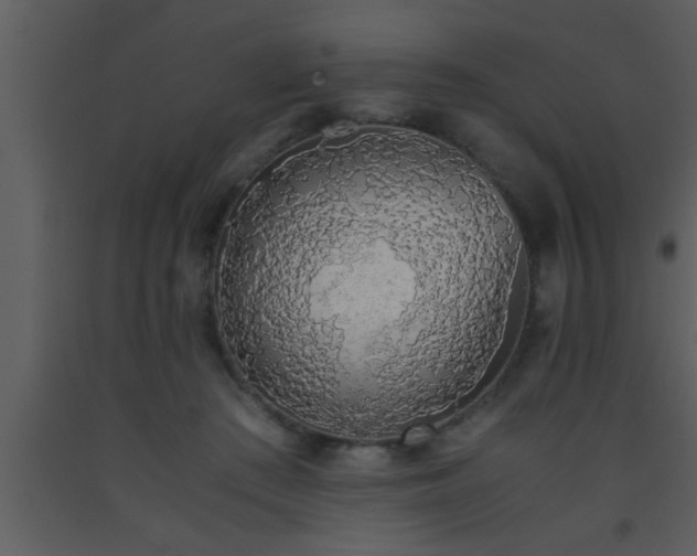 X0000093510409200710191315