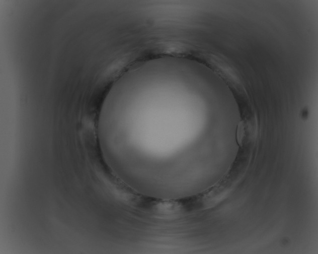 X0000093510415200710191315