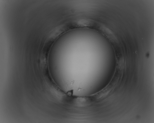 X0000093510418200710191315