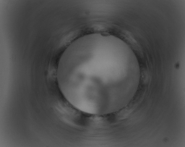 X0000093510419200710191315