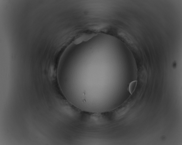 X0000093510420200710191315