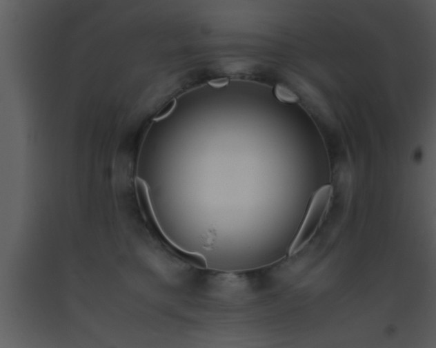 X0000093510421200710191315