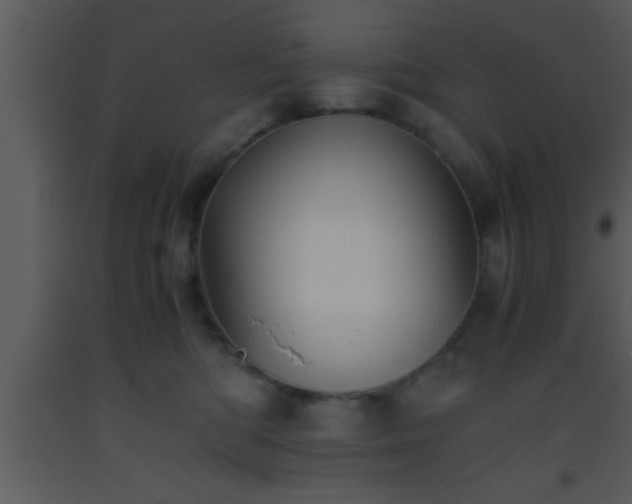 X0000093510422200710191315