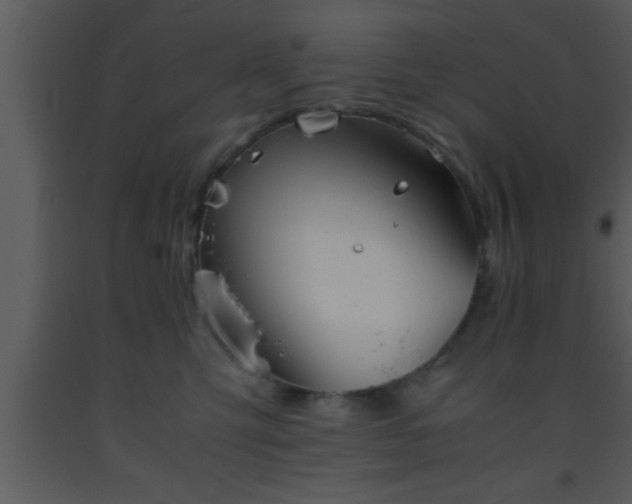 X0000093510423200710191315