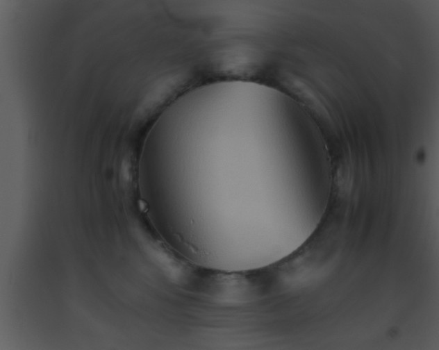 X0000093510424200710191315
