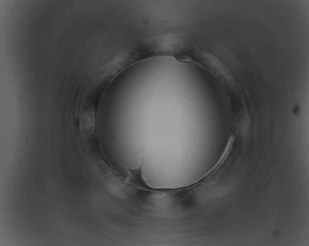 X0000093510425200710191315