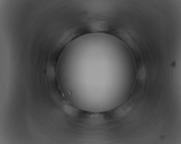 X0000093510426200710191315