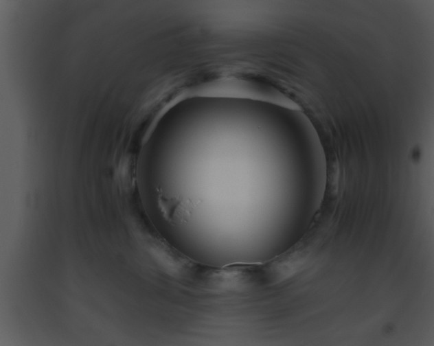 X0000093510428200710191315