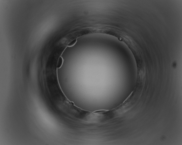 X0000093510429200710191315
