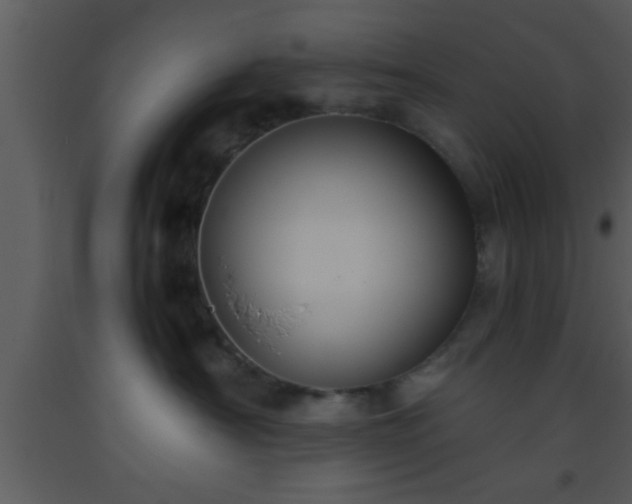 X0000093510430200710191315