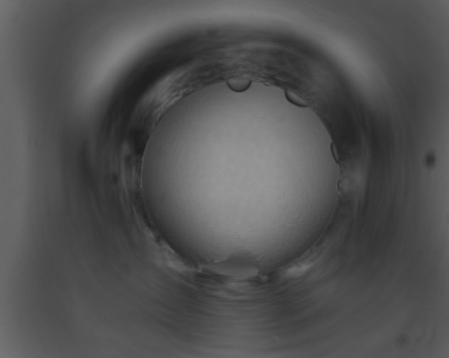 X0000093510431200710191315