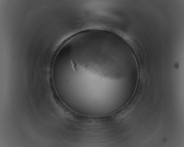 X0000093510434200710191314