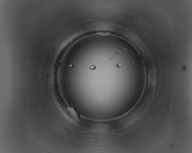 X0000093510436200710191314